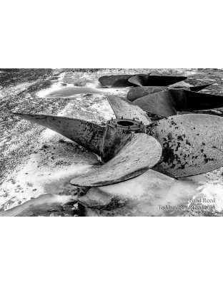 Brad Reed's Day 5 of 366