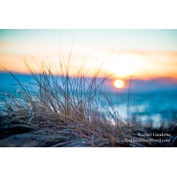 Rachel\'s Day 6 of 366 - January 6, 2020