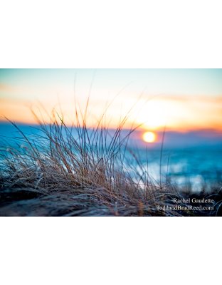 Rachel's Day 6 of 366 - January 6, 2020