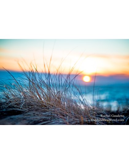 Rachel's Day 6 of 366 - January 6, 2020