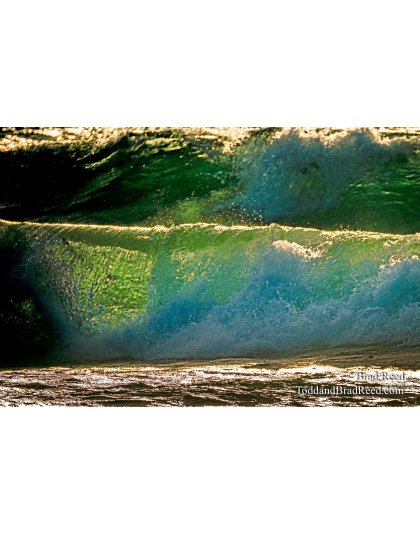 Brad Reed's Day 7 of 366