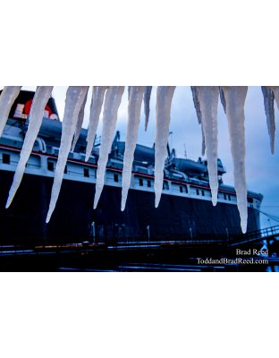 Brad Reed's Day 8 of 366