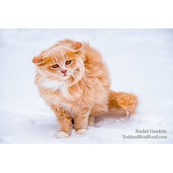 Rachel\'s Day 8 of 366 - January 8, 2020