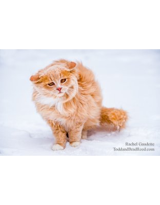 Rachel's Day 8 of 366 - January 8, 2020