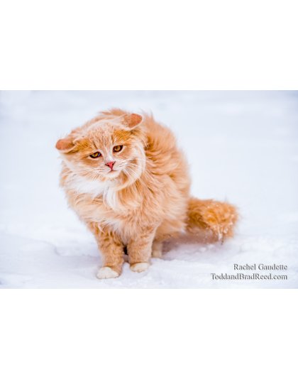 Rachel's Day 8 of 366 - January 8, 2020