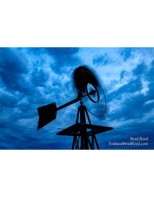 Brad Reed's Day 9 of 366