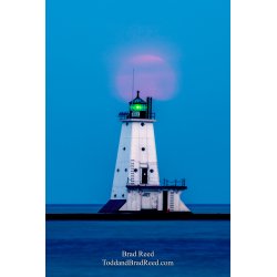 Brad Reed\'s Day 10 of 366