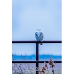 Rachel\'s Day 10 of 366 - January 10, 2020