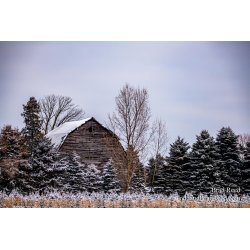 Brad Reed\'s Day 12 of 366