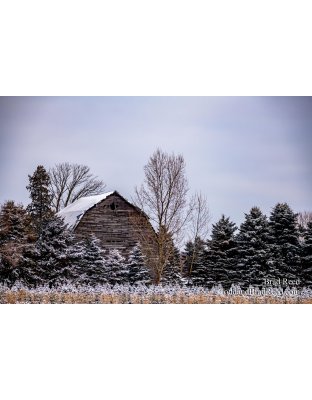 Brad Reed's Day 12 of 366