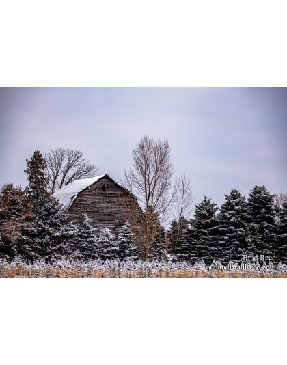 Brad Reed's Day 12 of 366