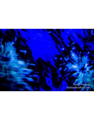 Rachel's Day 12 of 366 - January 12, 2020