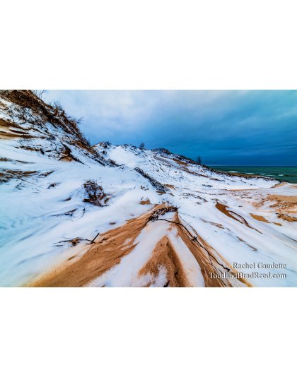 Rachel's Day 13 of 366 - January 13, 2020