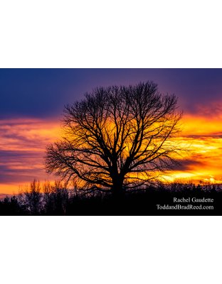 Rachel's Day 15 of 366 - January 15, 2020