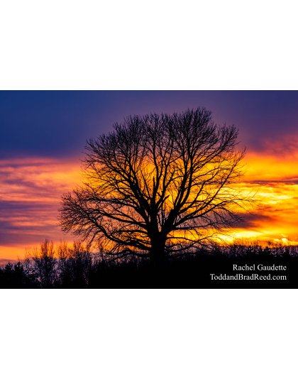 Rachel's Day 15 of 366 - January 15, 2020