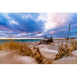 Brad Reed\'s Day 16 of 366