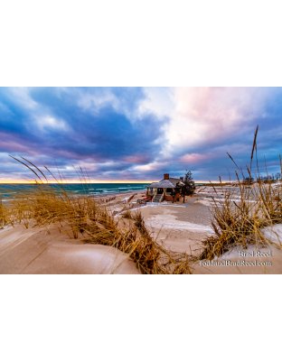 Brad Reed's Day 16 of 366