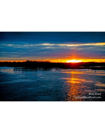 Brad Reed's Day 17 of 366