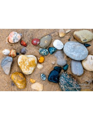 Brad Reed's Day 18 of 366