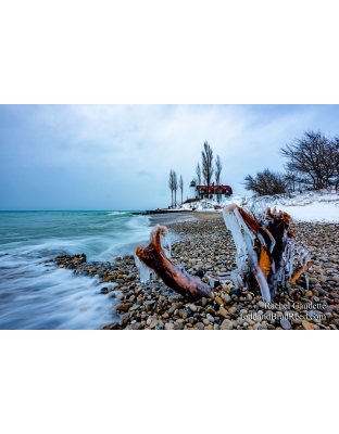 Rachel's Day 18 of 366 - January 18, 2020