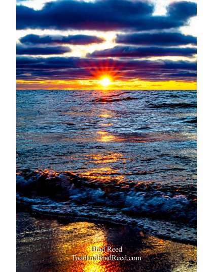 Brad Reed's Day 20 of 366