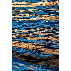 Rachel\'s Day 20 of 366 - January 20, 2020