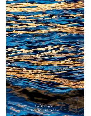 Rachel's Day 20 of 366 - January 20, 2020