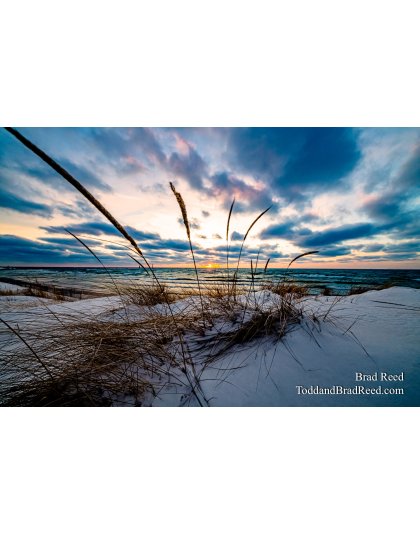 Brad Reed's Day 21 of 366