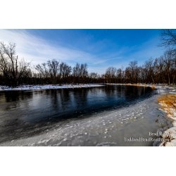 Brad Reed\'s Day 22 of 366
