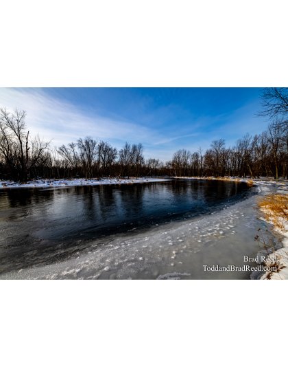 Brad Reed's Day 22 of 366