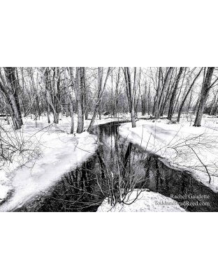 Rachel's Day 22 of 366 - January 22, 2020