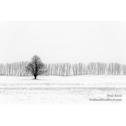 Brad Reed\'s Day 23 of 366