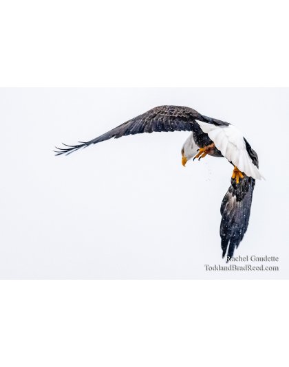 Rachel's Day 23 of 366 - January 22, 2020