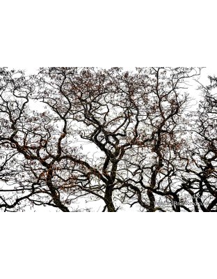 Brad Reed's Day 24 of 366