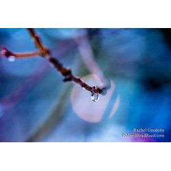 Rachel\'s Day 24 of 366 - January 24, 2020