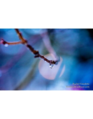 Rachel's Day 24 of 366 - January 24, 2020