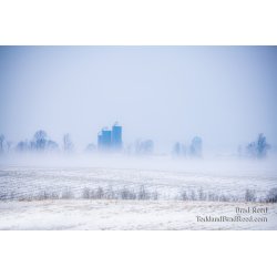 Brad Reed\'s Day 25 of 366