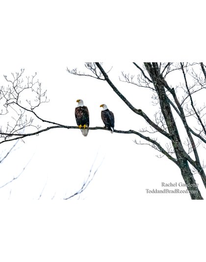 Rachel's Day 25 of 366 - January 26, 2020