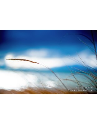 Rachel's Day 27 of 366 - January 27, 2020