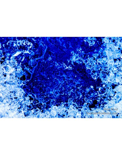 Brad Reed's Day 28 of 366