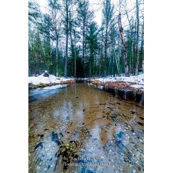 Rachel\'s Day 32 of 366 - February 1, 2020