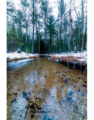 Rachel's Day 32 of 366 - February 1, 2020