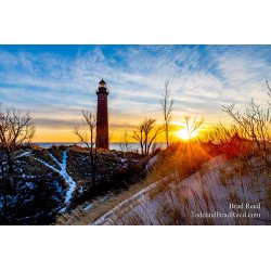 Brad Reed\'s Day 33 of 366