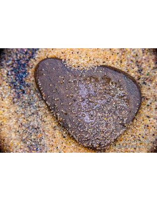 Rachel's Day 33 of 366 - February 2, 2020