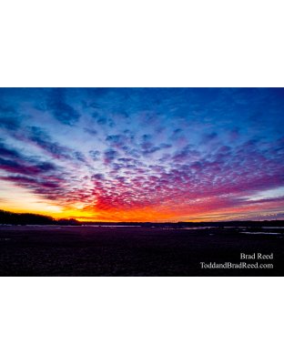 Brad Reed's Day 34 of 366