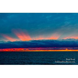 Brad Reed\'s Day 37 of 366