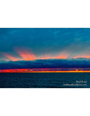 Brad Reed's Day 37 of 366