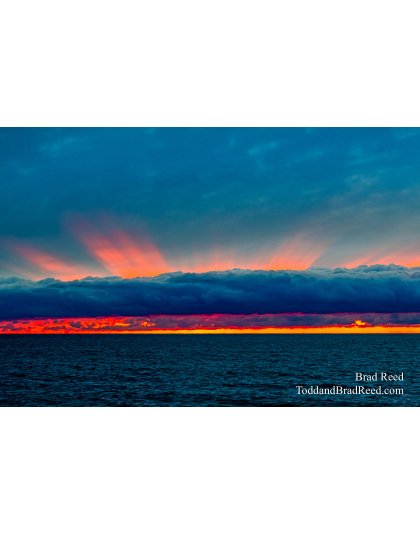 Brad Reed's Day 37 of 366