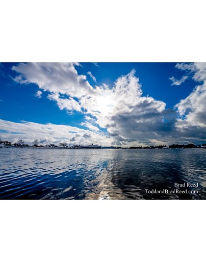 Brad Reed's Day 38 of 366