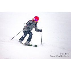 Brad Reed\'s Day 40 of 366
